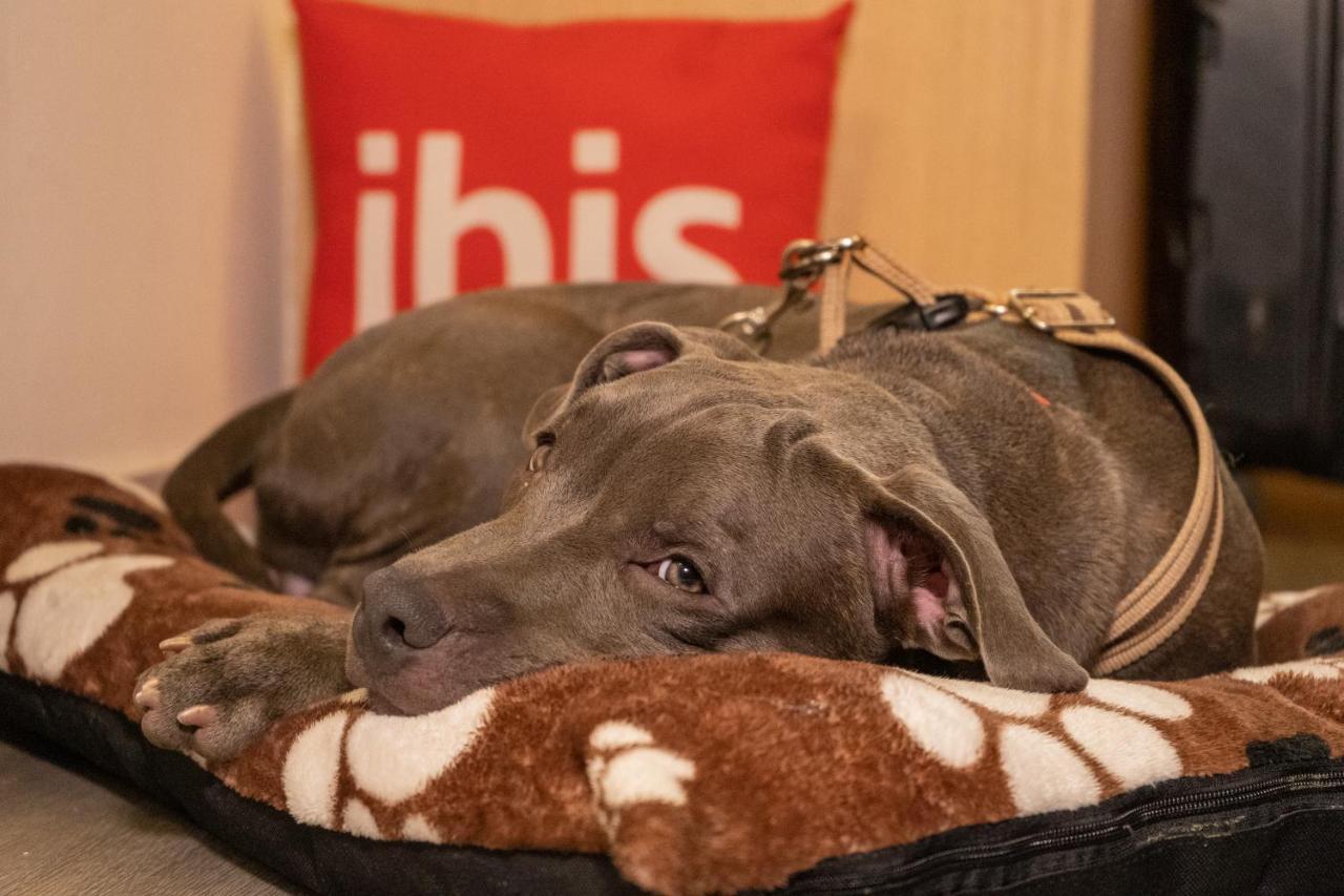 Ibis Cartagena Marbella Hotel Kültér fotó